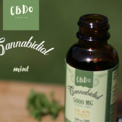 CBDo Cannabidiol